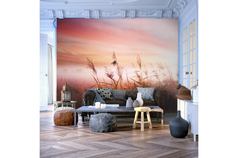 Fototapet Morgon Äng 300x231 - Artgeist sp. z o. o. - Inredning & dekor - Väggdekor - Tapeter & tapettillbehör - Fototapeter