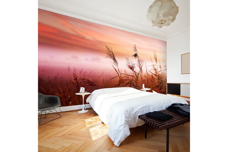 Fototapet Morgon Äng 450x270, Artgeist sp. z o. o.