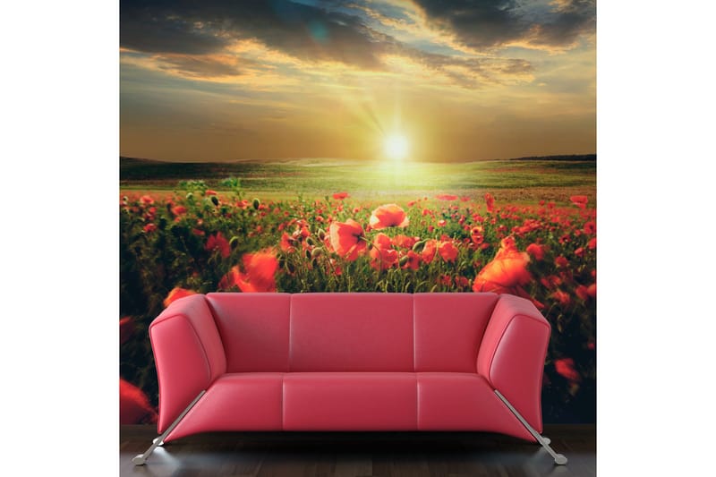 FOTOTAPET Morgon På Vallmo Äng 300x231 - Artgeist sp. z o. o. - Inredning & dekor - Väggdekor - Tapeter & tapettillbehör - Fototapeter