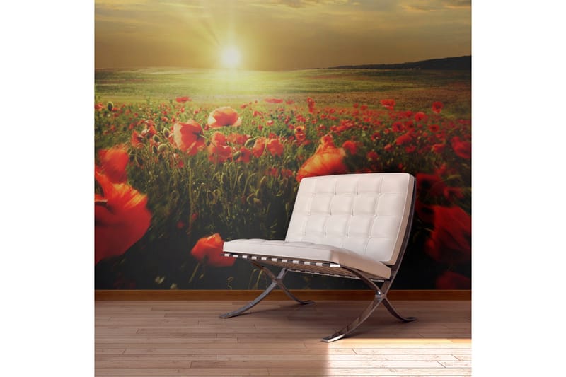 Fototapet Morgon På Vallmo Äng 450x270, Artgeist sp. z o. o.