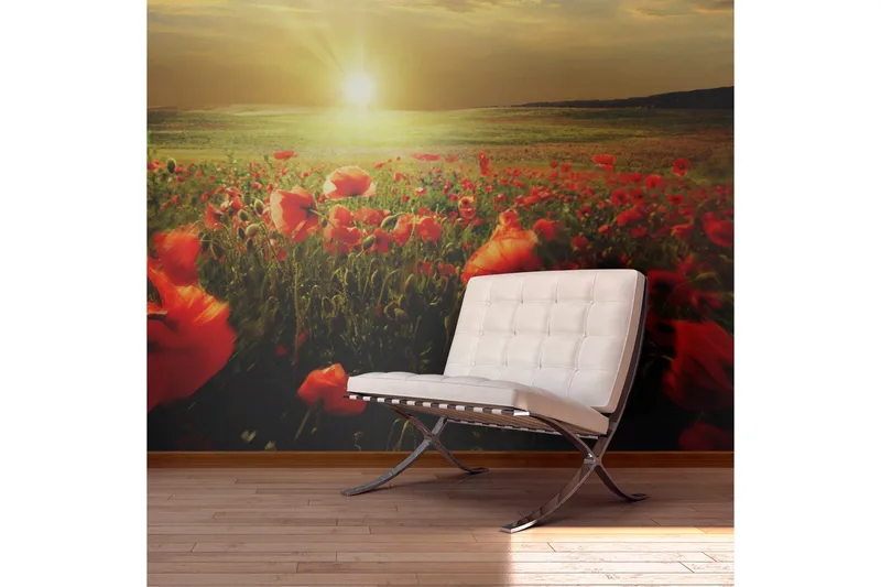 Fototapet Morgon På Vallmo Äng 450x270, Artgeist sp. z o. o.