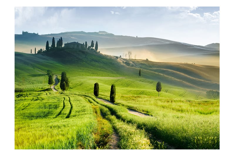 FOTOTAPET Morning In The Countryside 100x70, Artgeist sp. z o. o.