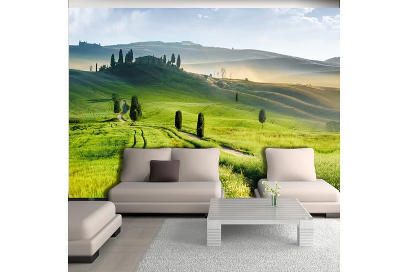 FOTOTAPET Morning In The Countryside 250x175 - Artgeist sp. z o. o. - Inredning & dekor - Väggdekor - Tapeter & tapettillbehör - Fototapeter