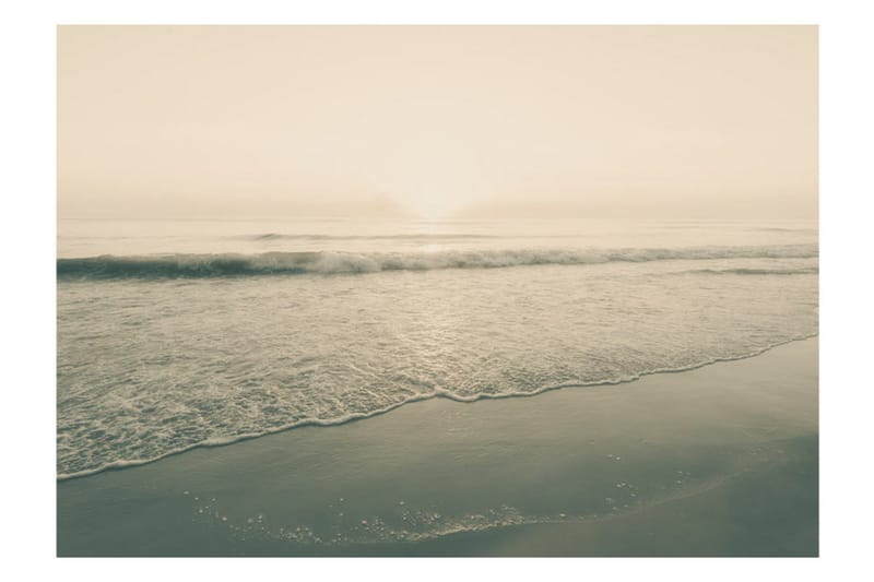 Fototapet Morning Kiss 200x140 - Artgeist sp. z o. o. - Inredning & dekor - Väggdekor - Tapeter & tapettillbehör - Fototapeter