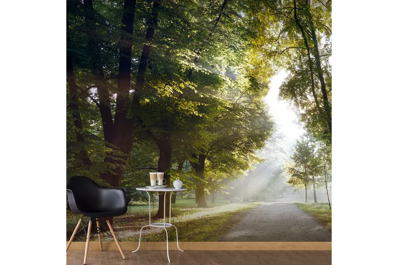 FOTOTAPET Morning Walk 350x245, Artgeist sp. z o. o.