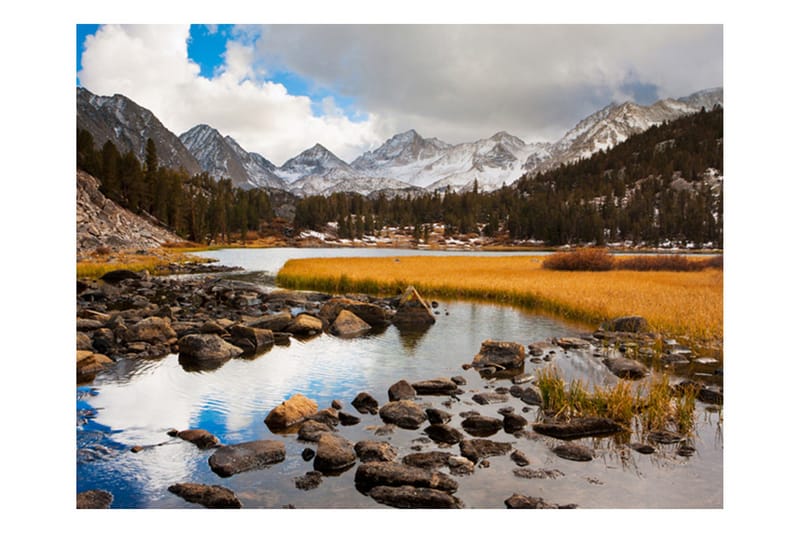 Fototapet Mountain Stream 400x309, Artgeist sp. z o. o.