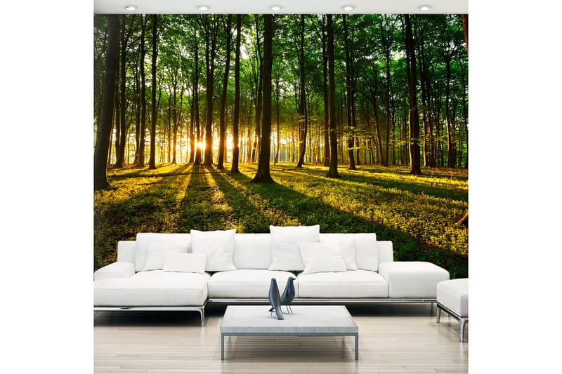 Fototapet Mystical Morning 350x245, Artgeist sp. z o. o.