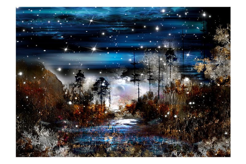 FOTOTAPET Night In The Forest 300x210 - Artgeist sp. z o. o. - Inredning & dekor - Väggdekor - Tapeter & tapettillbehör - Fototapeter