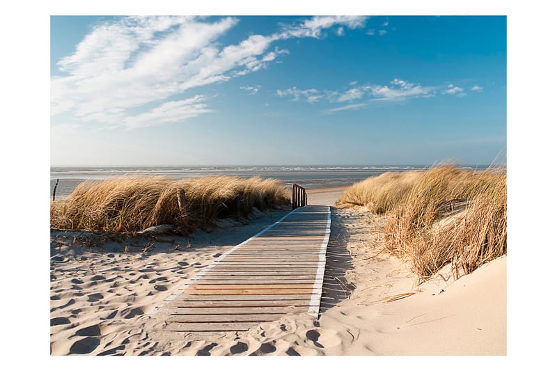 FOTOTAPET Nordsjöns Strand Langeoog 200x154 - Artgeist sp. z o. o. - Inredning & dekor - Väggdekor - Tapeter & tapettillbehör - Fototapeter