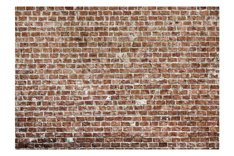 Fototapet Old Dominion 350x245 - Artgeist sp. z o. o. - Inredning & dekor - Väggdekor - Tapeter & tapettillbehör - Fototapeter