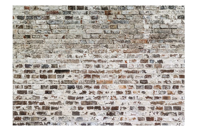 FOTOTAPET Old Walls 350x245 - Artgeist sp. z o. o. - Inredning & dekor - Väggdekor - Tapeter & tapettillbehör - Fototapeter