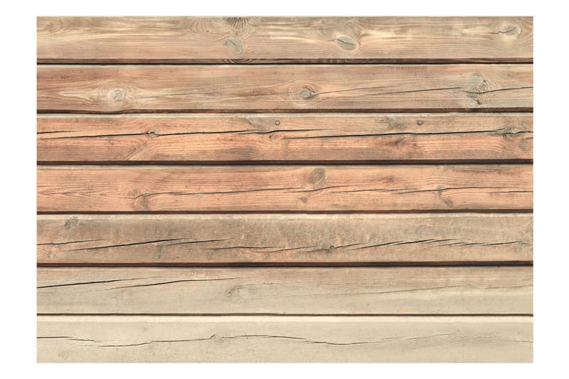 Fototapet Old Pine 400x280 - Artgeist sp. z o. o. - Inredning & dekor - Väggdekor - Tapeter & tapettillbehör - Fototapeter