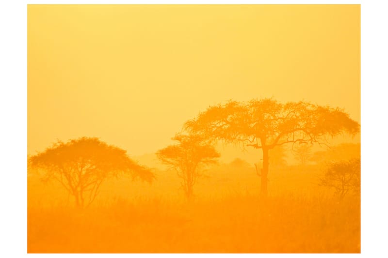 Fototapet Orange Savanna 350x270, Artgeist sp. z o. o.
