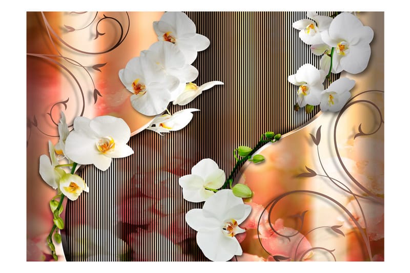 FOTOTAPET Orchid 300x210 - Artgeist sp. z o. o. - Inredning & dekor - Väggdekor - Tapeter & tapettillbehör - Fototapeter