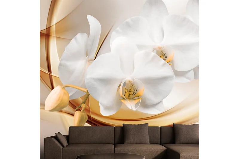 Fototapet Orchid Blossom 100x70, Artgeist sp. z o. o.