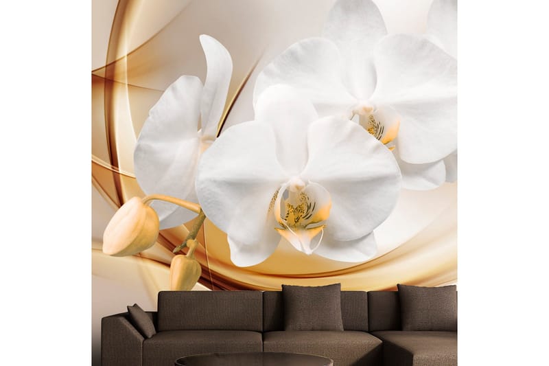 Fototapet Orchid Blossom 300x210, Artgeist sp. z o. o.