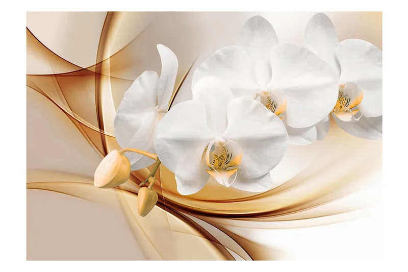 Fototapet Orchid Blossom 350x245 - Artgeist sp. z o. o. - Inredning & dekor - Väggdekor - Tapeter & tapettillbehör - Fototapeter