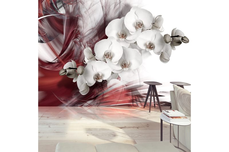 Fototapet Orchid In Red 100x70 - Artgeist sp. z o. o. - Inredning & dekor - Väggdekor - Tapeter & tapettillbehör - Fototapeter