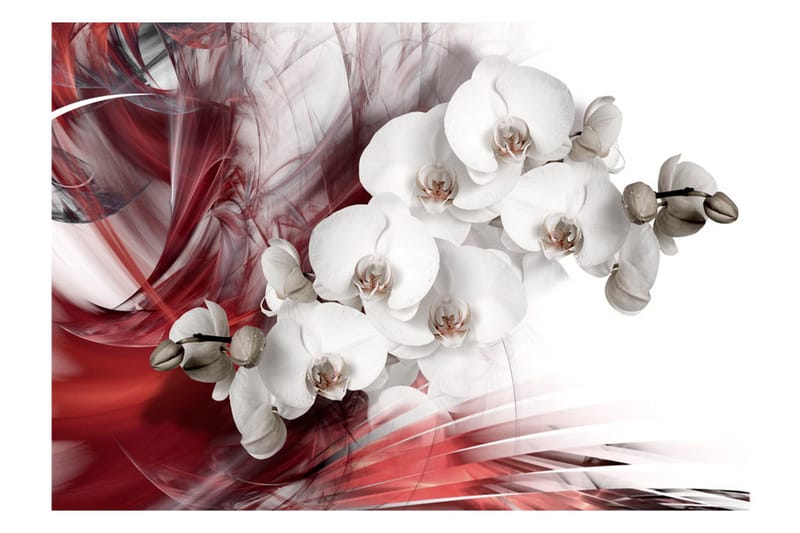 Fototapet Orchid In Red 100x70 - Artgeist sp. z o. o. - Inredning & dekor - Väggdekor - Tapeter & tapettillbehör - Fototapeter