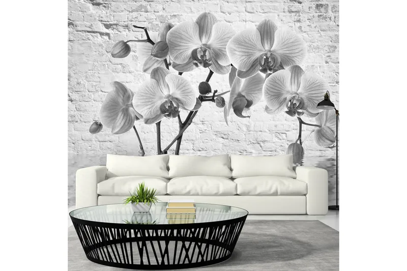 FOTOTAPET Orchid In Shades Of Gray 350x245, Artgeist sp. z o. o.