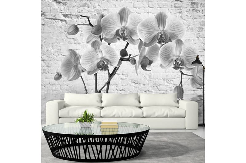 FOTOTAPET Orchid In Shades Of Gray 400x280 - Artgeist sp. z o. o. - Inredning & dekor - Väggdekor - Tapeter & tapettillbehör - Fototapeter