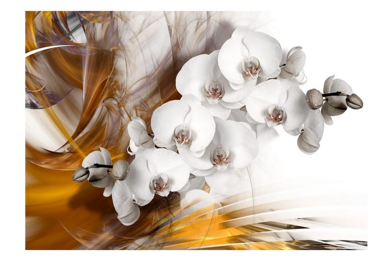 Fototapet Orchid On Fire 100x70 - Artgeist sp. z o. o. - Inredning & dekor - Väggdekor - Tapeter & tapettillbehör - Fototapeter
