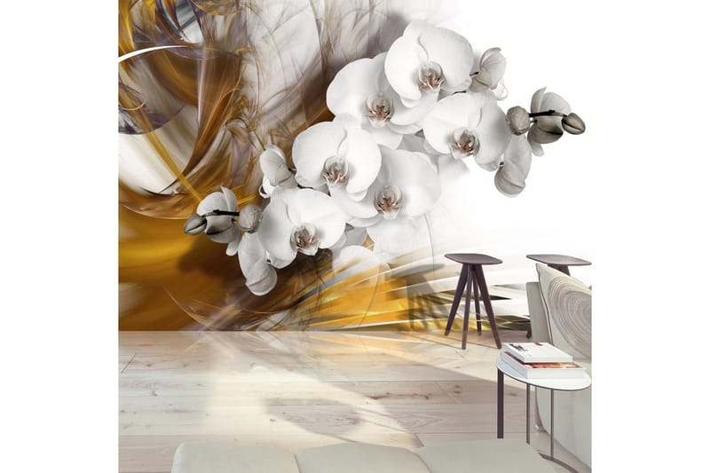 FOTOTAPET Orchid On Fire 400x280 - Artgeist sp. z o. o. - Inredning & dekor - Väggdekor - Tapeter & tapettillbehör - Fototapeter