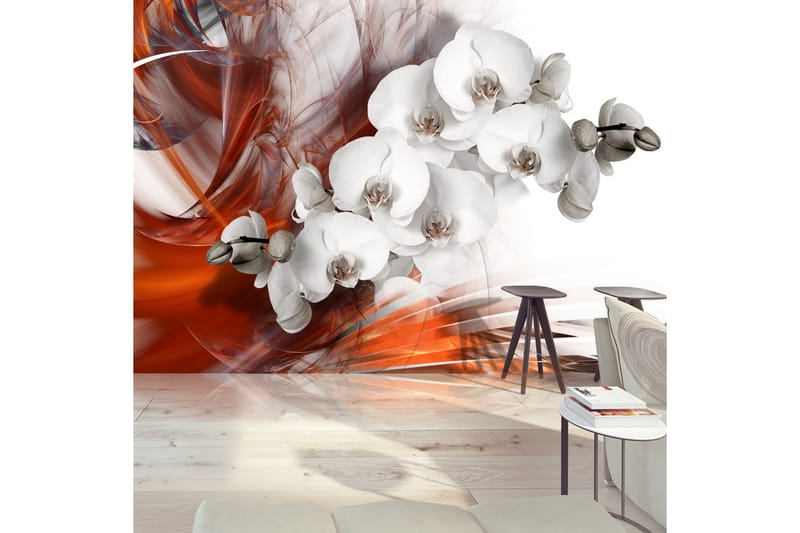 FOTOTAPET Orchid On Fire II 300x210 - Artgeist sp. z o. o. - Inredning & dekor - Väggdekor - Tapeter & tapettillbehör - Fototapeter