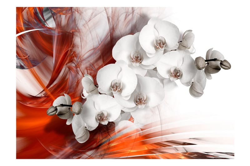 Fototapet Orchid On Fire II 400x280 - Artgeist sp. z o. o. - Inredning & dekor - Väggdekor - Tapeter & tapettillbehör - Fototapeter