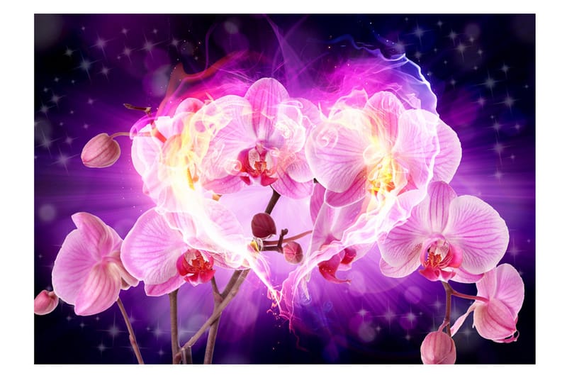 Fototapet Orchids In Flames 350x245 - Artgeist sp. z o. o. - Inredning & dekor - Väggdekor - Tapeter & tapettillbehör - Fototapeter