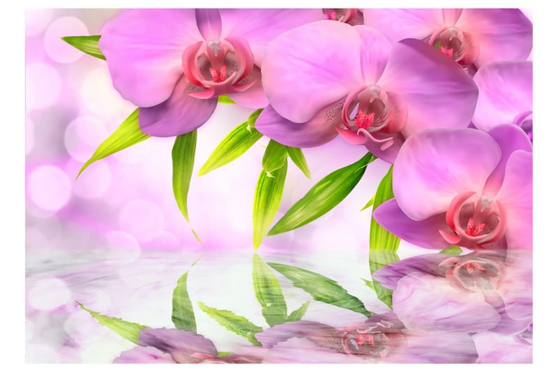 Fototapet Orchids In Lilac Colour 250x175 - Artgeist sp. z o. o. - Inredning & dekor - Väggdekor - Tapeter & tapettillbehör - Fototapeter