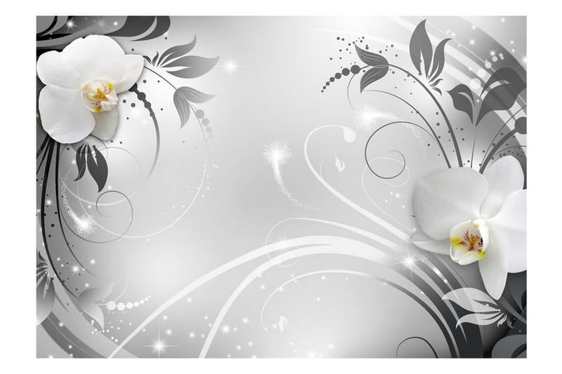 FOTOTAPET Orchids On Silver 400x280 - Artgeist sp. z o. o. - Inredning & dekor - Väggdekor - Tapeter & tapettillbehör - Fototapeter