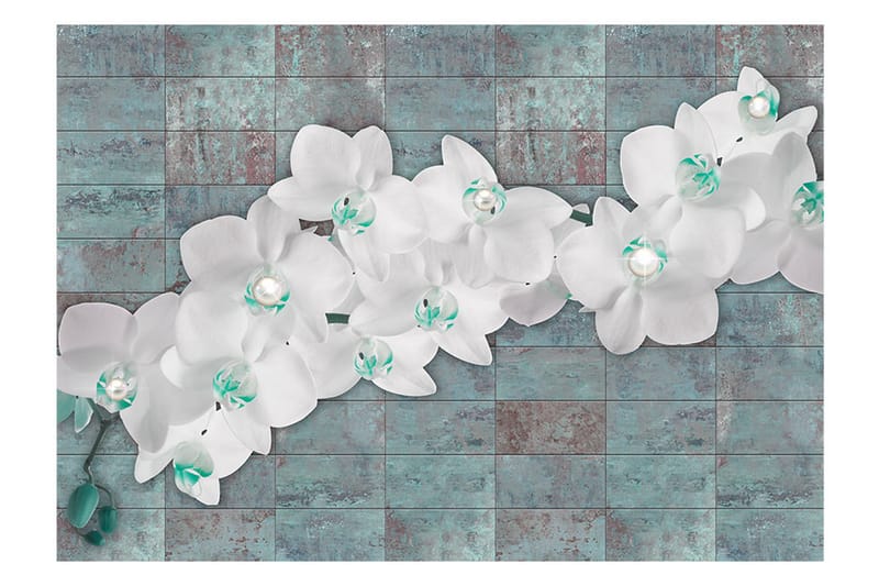 FOTOTAPET Orchids With Pearls 250x175 - Artgeist sp. z o. o. - Inredning & dekor - Väggdekor - Tapeter & tapettillbehör - Fototapeter