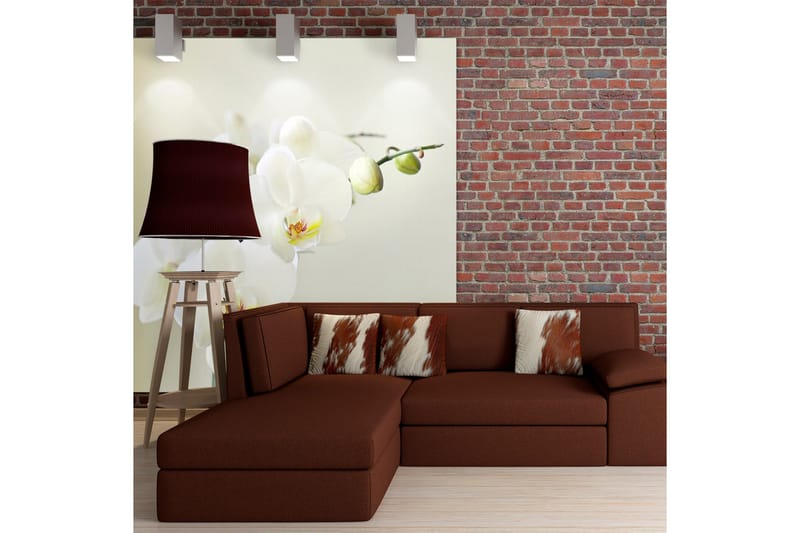 Fototapet Orchidwhite 250x193, Artgeist sp. z o. o.