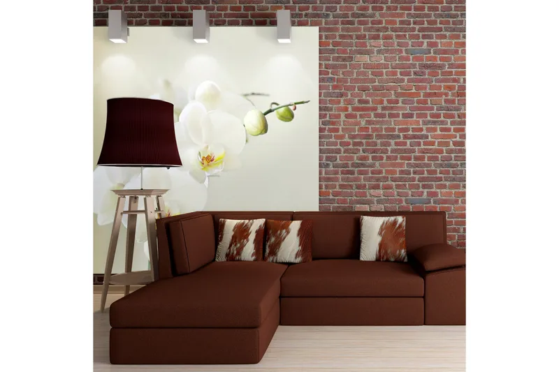 Fototapet Orchidwhite 300x231, Artgeist sp. z o. o.