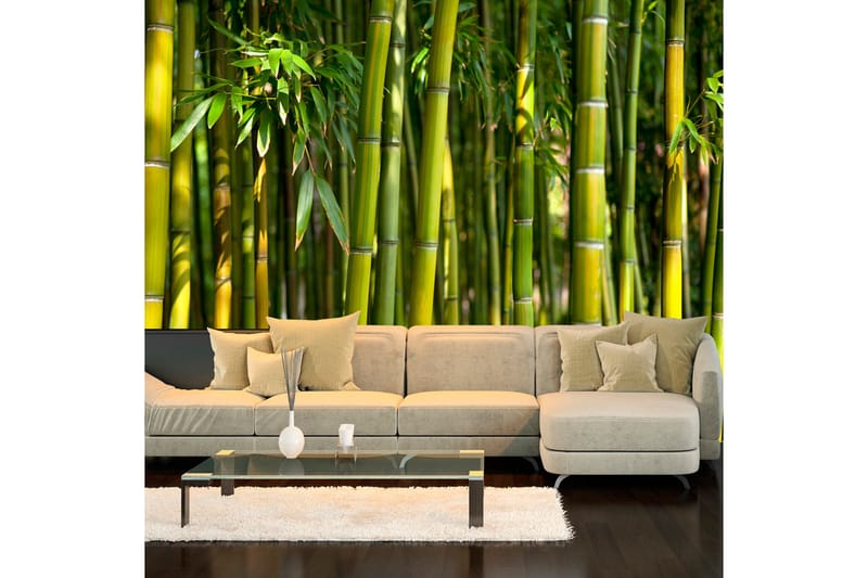 FOTOTAPET Oriental Garden 400x280, Artgeist sp. z o. o.