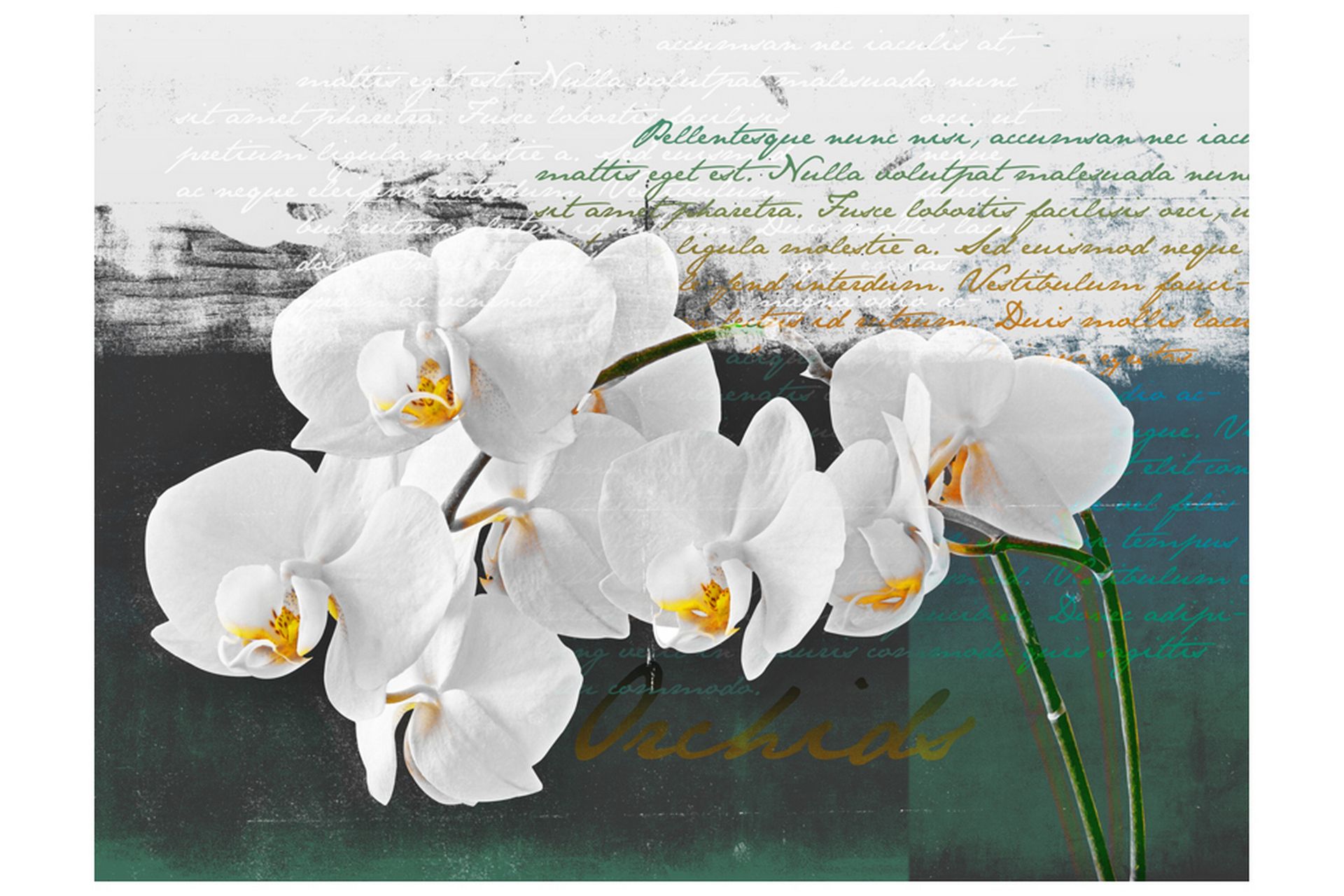 FOTOTAPET Orkidé Poet Inspiration 200x154 - Artgeist sp. z o. o. - Inredning & dekor - Väggdekor - Tapeter & tapettillbehör - Fototapeter