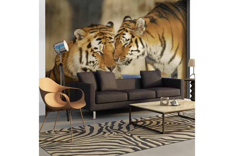 Fototapet Ovillkorlig Kärlek 250x193, Artgeist sp. z o. o.