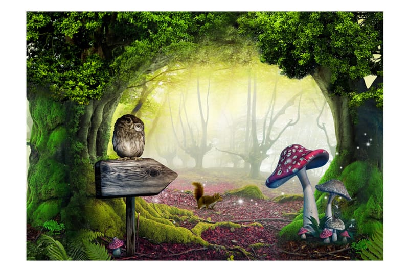 Fototapet Owlish Corner 150x105 - Artgeist sp. z o. o. - Inredning & dekor - Väggdekor - Tapeter & tapettillbehör - Fototapeter