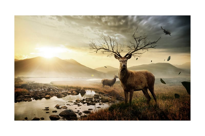 Fototapet Rådjur Med Fjällbäck 450x270 - Artgeist sp. z o. o. - Inredning & dekor - Väggdekor - Tapeter & tapettillbehör - Fototapeter