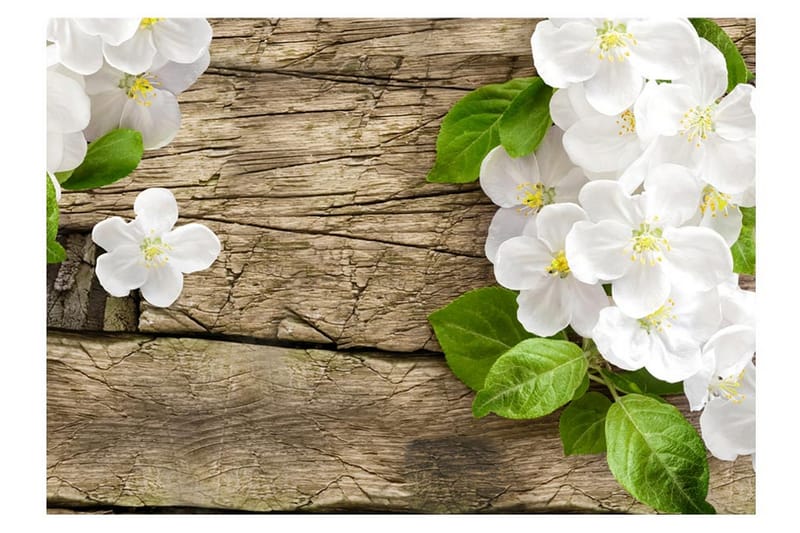 FOTOTAPET Raw Beauty 350x245 - Artgeist sp. z o. o. - Inredning & dekor - Väggdekor - Tapeter & tapettillbehör - Fototapeter