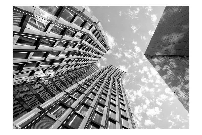 FOTOTAPET Reach For The Sky 100x70 - Artgeist sp. z o. o. - Inredning & dekor - Väggdekor - Tapeter & tapettillbehör - Fototapeter