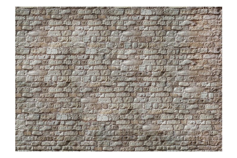 FOTOTAPET Reality 300x210 - Artgeist sp. z o. o. - Inredning & dekor - Väggdekor - Tapeter & tapettillbehör - Fototapeter