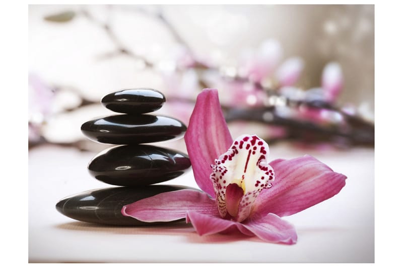 Fototapet Relaxation And Wellness 350x270 - Artgeist sp. z o. o. - Inredning & dekor - Väggdekor - Tapeter & tapettillbehör - Fototapeter