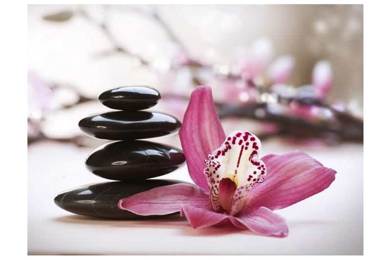 FOTOTAPET Relaxation And Wellness 350x270 - Artgeist sp. z o. o. - Inredning & dekor - Väggdekor - Tapeter & tapettillbehör - Fototapeter