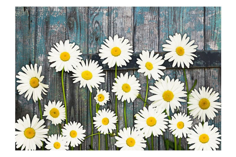 FOTOTAPET Return To The Innocence 250x175 - Artgeist sp. z o. o. - Inredning & dekor - Väggdekor - Tapeter & tapettillbehör - Fototapeter