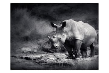 FOTOTAPET Rhino Lost In Dreams 200x154 - Artgeist sp. z o. o. - Inredning & dekor - Väggdekor - Tapeter & tapettillbehör - Fototapeter