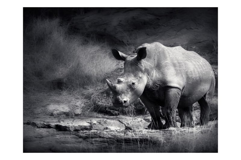 FOTOTAPET Rhino Lost In Dreams 200x154 - Artgeist sp. z o. o. - Inredning & dekor - Väggdekor - Tapeter & tapettillbehör - Fototapeter