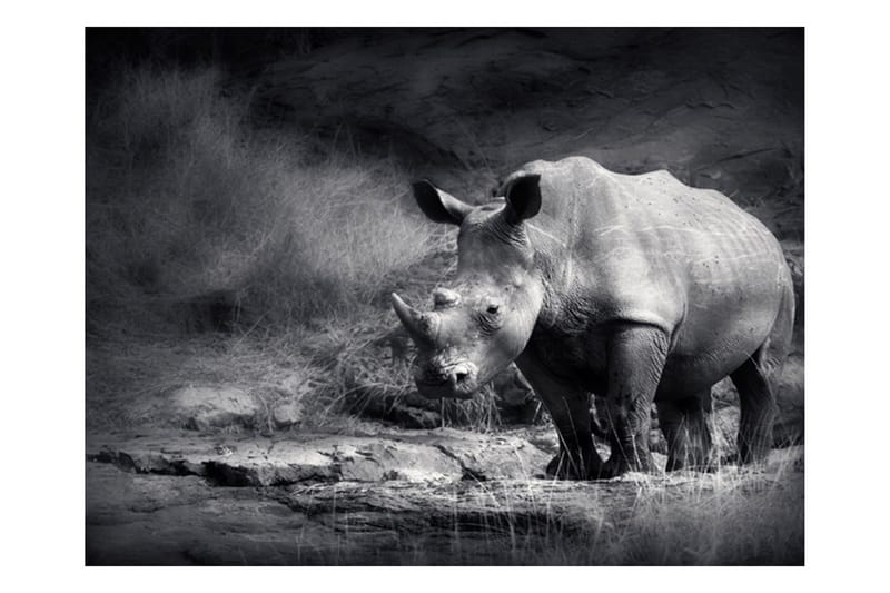 Fototapet Rhino Lost In Dreams 300x231 - Artgeist sp. z o. o. - Inredning & dekor - Väggdekor - Tapeter & tapettillbehör - Fototapeter