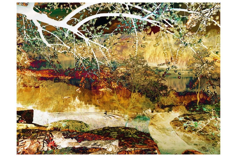 FOTOTAPET River Of Life 200x154 - Artgeist sp. z o. o. - Inredning & dekor - Väggdekor - Tapeter & tapettillbehör - Fototapeter